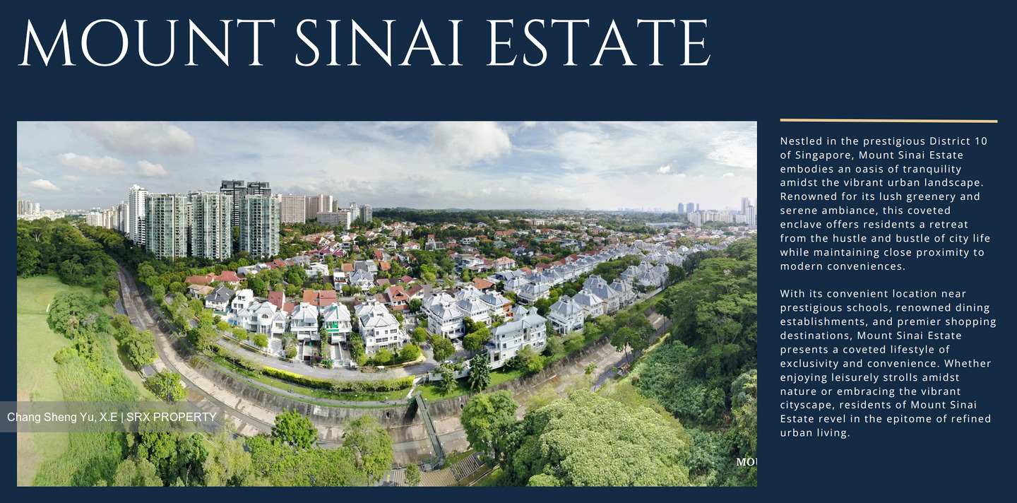 Henry Park (D10), Detached #479712001